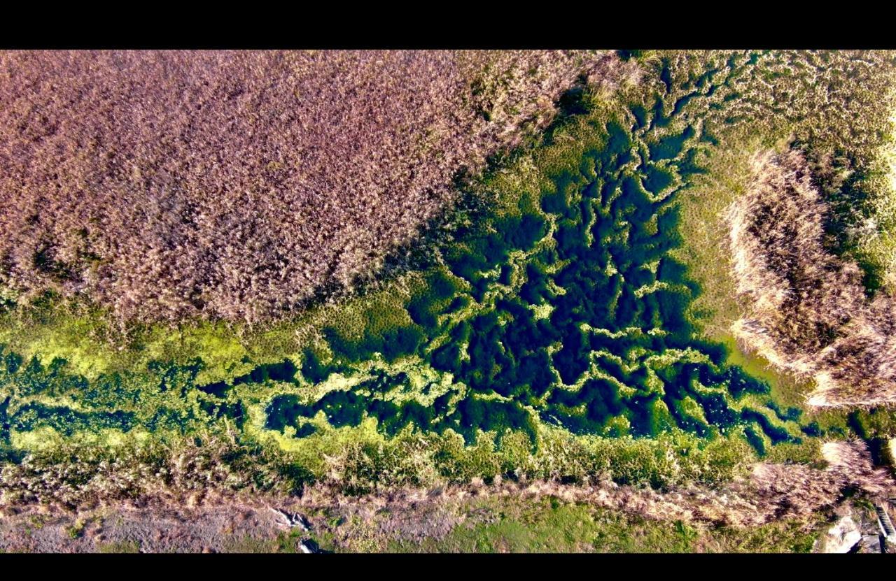 Pension Sharaiman Dunavăţu de Jos Exteriér fotografie